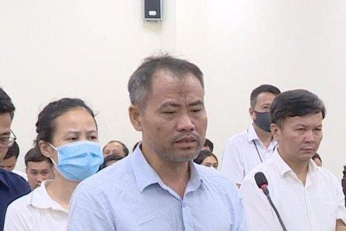Vụ 'thổi giá cây xanh': Cựu giám đốc công ty cây xanh cảm thấy xấu hổ với anh em