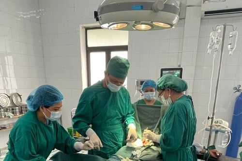 Cao Bằng: Đứng xem bò húc nhau, một người dân bị húc thủng ruột