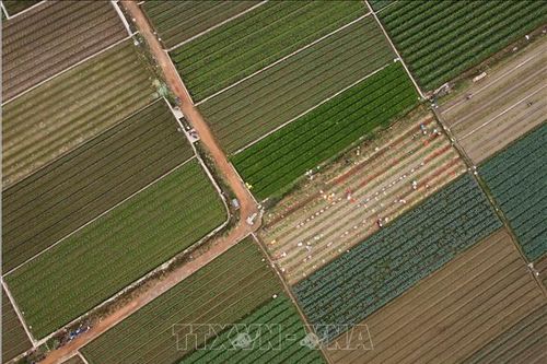 Phát triển nông nghiệp Hà Nội - nền tảng phát triển du lịch và dịch vụ - Bài 1: Tiềm năng và kỳ vọng