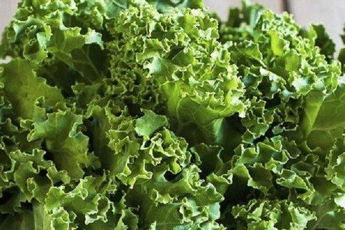 Điểm danh 7 loại rau cực giàu canxi, có loại còn nhiều hơn cả sữa
