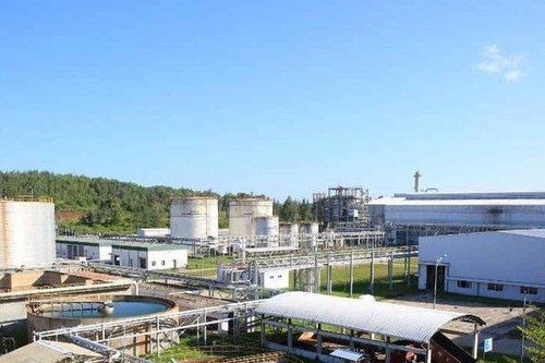 Công ty con của Lọc dầu Bình Sơn nợ 1.500 tỷ đồng, bị 3 ngân hàng kiện