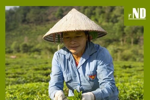 Tiêu điểm: Sinh kế thích ứng biến đổi khí hậu