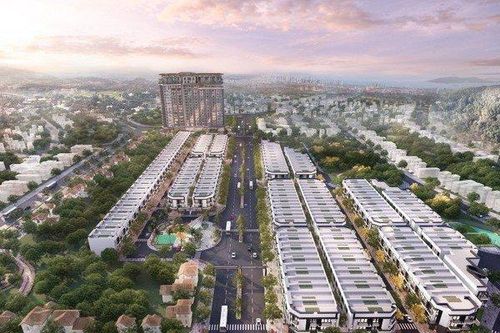 Nợ hơn 10 tỷ đồng tiền thuế, Koji bị cưỡng chế ngừng sử dụng hóa đơn