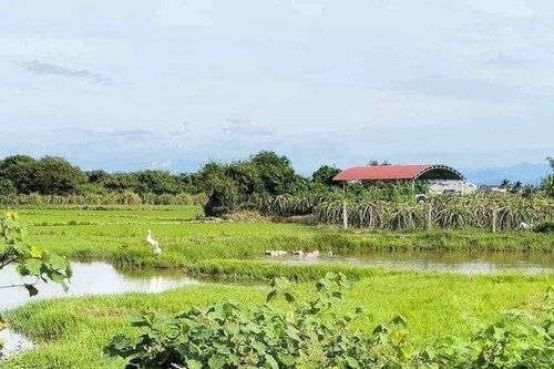 Bình Thuận: Hai chị em ruột tắm hồ gần nhà tử vong thương tâm