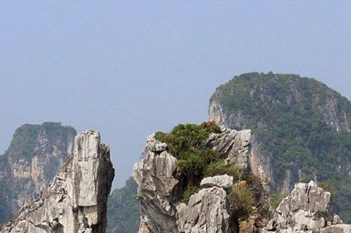 Quảng Ninh: Bảo vệ hòn Trống Mái ở vịnh Hạ Long trước nguy cơ sạt lở