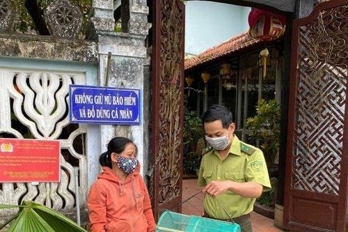 Thừa Thiên-Huế cấm bán chim trời để phóng sinh trước cửa chùa