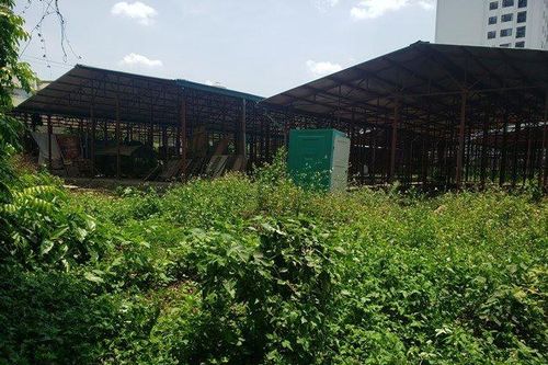 Chợ tiền tỷ chỉ để cỏ mọc ở Vĩnh Phúc
