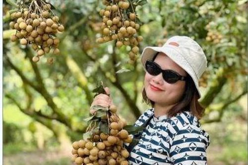 Hưng Yên: Khai thác phát triển du lịch nông thôn