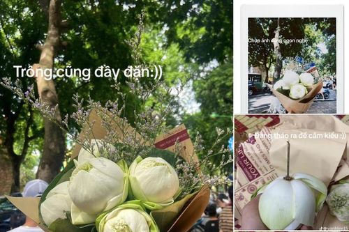 Mua hoa chụp ảnh trend thu Hà Nội và kiếp nạn không ngờ tới