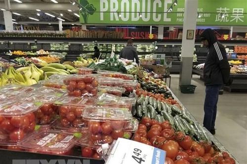 Báo động đỏ khi nợ tín dụng ngày càng gia tăng ở Canada