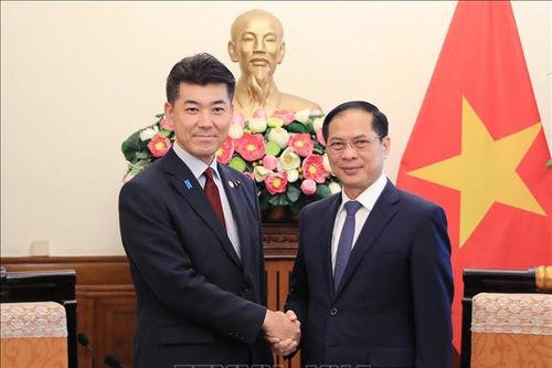 Bộ trưởng Bộ Ngoại giao tiếp Chủ tịch Đảng Dân chủ lập hiến Nhật Bản