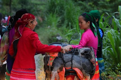 Bà con vùng cao Hà Giang nô nức xuống chợ Mèo Vạc dịp Tết Độc lập