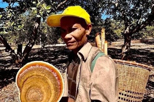 Mở rộng tìm kiếm già làng đi lạc trong Vườn quốc gia Cát Tiên