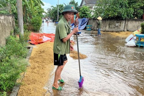 Quảng Bình: Mưa lớn kéo dài, người dân bất lực nhìn lúa đang phơi bị cuốn trôi