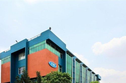 Gỗ Trường Thành lỗ lũy kế hơn 3.100 tỷ đồng, bằng 75% vốn điều lệ