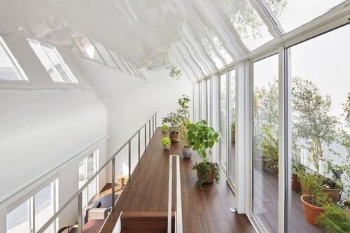 10 vị trí trong nhà nên bố trí cây cảnh để có thêm tài lộc