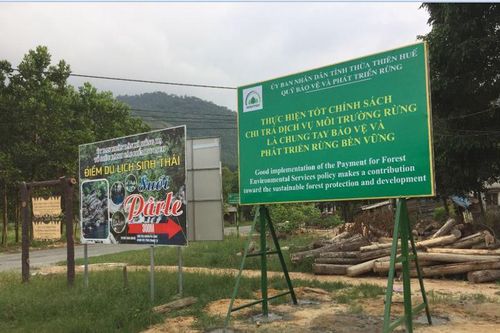 8 tháng, cả nước thu gần 2.000 tỷ tiền dịch vụ môi trường rừng