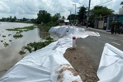 An Giang cần 397 tỷ đồng cho 3 dự án phòng, chống sạt lở khẩn cấp