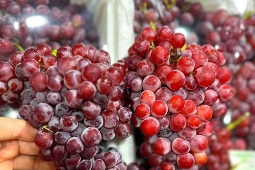 Nho Trung Quốc đổ bộ chợ Việt với giá rẻ hơn rau, chỉ từ 25.000 đồng/kg