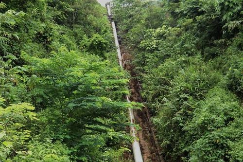 Xác định được nguyên nhân khiến 20 người nhập viện ở Điện Biên