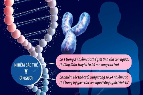 Giải mã bí ẩn nhiễm sắc thể Y xác định giới tính nam