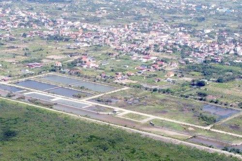 Hải Phòng: Bàn giao cho cộng đồng dân cư quản lý 400 ha rừng ngập mặn