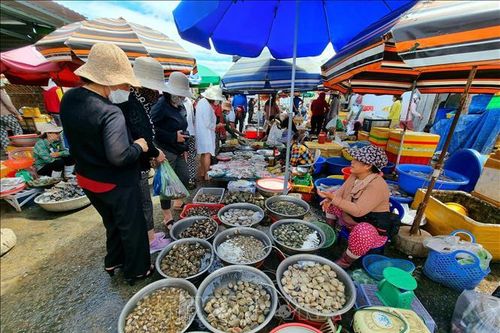 Khám phá chợ Nại - chợ quê làng biển điển hình ở Ninh Thuận