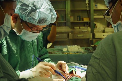 Bác sĩ rùng mình gắp hơn 100 con giòi trên đầu bệnh nhân
