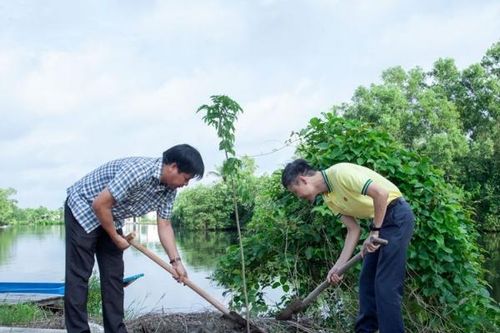 Phân bón Cà Mau nhộn nhịp ra quân trồng cây phủ xanh trong cộng đồng