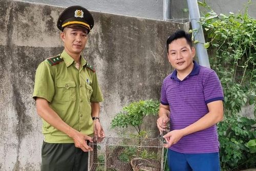 Du lịch có trách nhiệm bảo vệ thiên nhiên