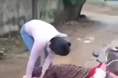 Cô giáo mầm non ở Hà Tĩnh bị hành hung khi rời trường học
