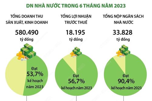 Doanh nghiệp NN là lực lượng vật chất quan trọng của kinh tế nhà nước
