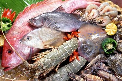 Các loại hải sản tươi sống nên được bảo quản trong bao lâu?