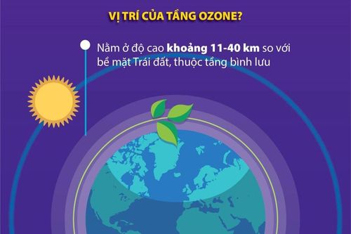 Những câu hỏi xung quanh tầng ozone