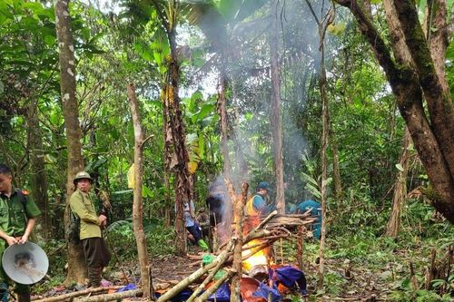 Truy quét 'vàng tặc' trong rừng đặc dụng ở Thanh Hóa