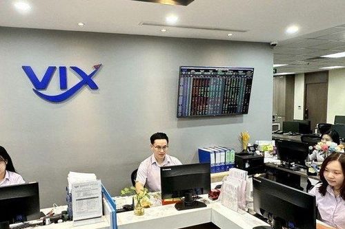 Chứng khoán VIX rời ghế cổ đông lớn tại Thiết bị điện Đông Anh