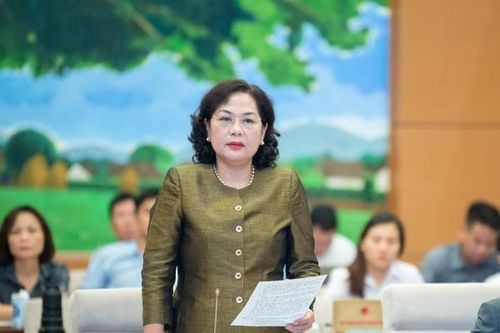 Thống đốc Nguyễn Thị Hồng nói gì về tình trạng xử lý sở hữu chéo ngân hàng?