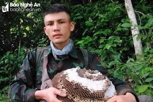 Hơn 300 người tìm kiếm nam thanh niên mất tích nghi do đi lạc trong rừng