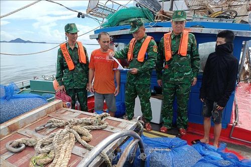 Bắt giữ 7 tàu đánh cá khai thác thủy sản sai quy định