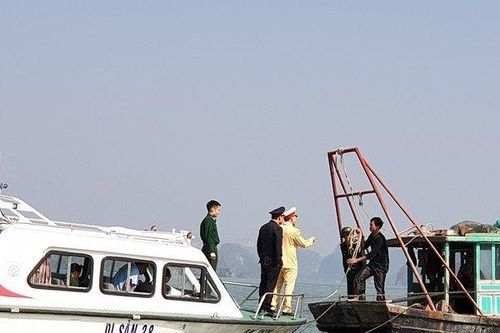 Liên tiếp bắt giữ 7 tàu cá vi phạm quy định
