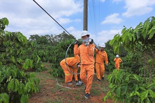 PC Đắk Nông: Nâng cao hiệu quả vận hành lưới điện, giảm tổn thất điện năng