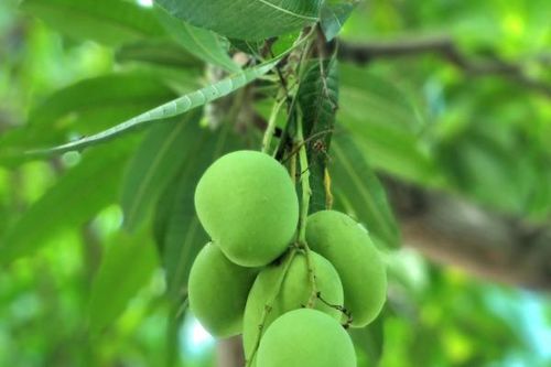 Như thấy mình lạc giữa khúc ca dao…