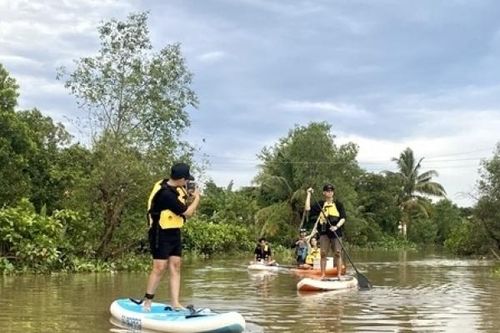 Lắc lư cùng SUP dưới tán bần xanh