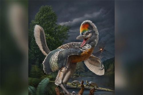 Phát hiện 'thần điểu' giống khủng long bạo chúa T-rex