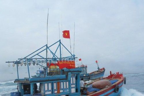 Máy bay đưa ngư dân bị bệnh nặng từ đảo Trường Sa về bờ điều trị