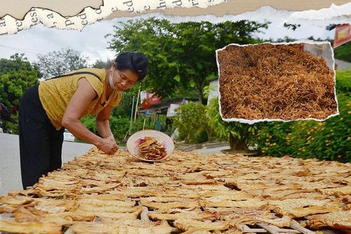 Vào vụ măng Tết