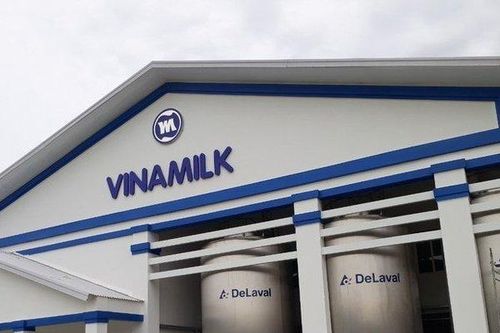 Thoái toàn bộ vốn tại Vinamilk, công ty con của SCIC thu về bao nhiêu?