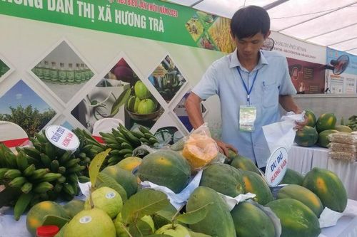 Phiên chợ nông sản thu hút 23 gian hàng