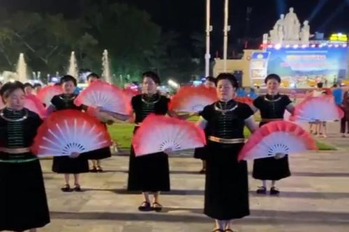 Khai trương 'Phố đi bộ Nguyễn Trãi'