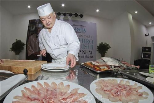 Thưởng thức món cá thát lát Hậu Giang từ đầu bếp người Nhật